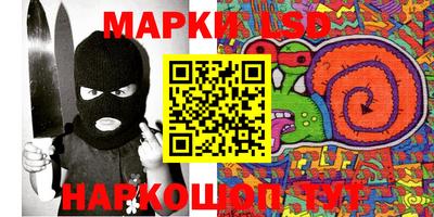 крисы Новодвинск