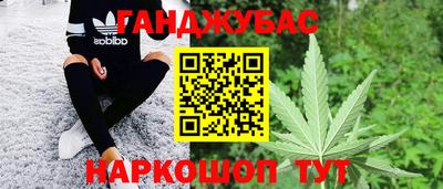 крисы Новодвинск