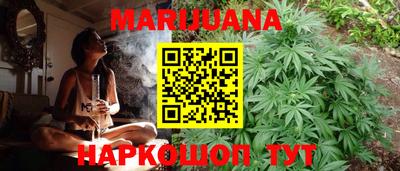 крисы Новодвинск